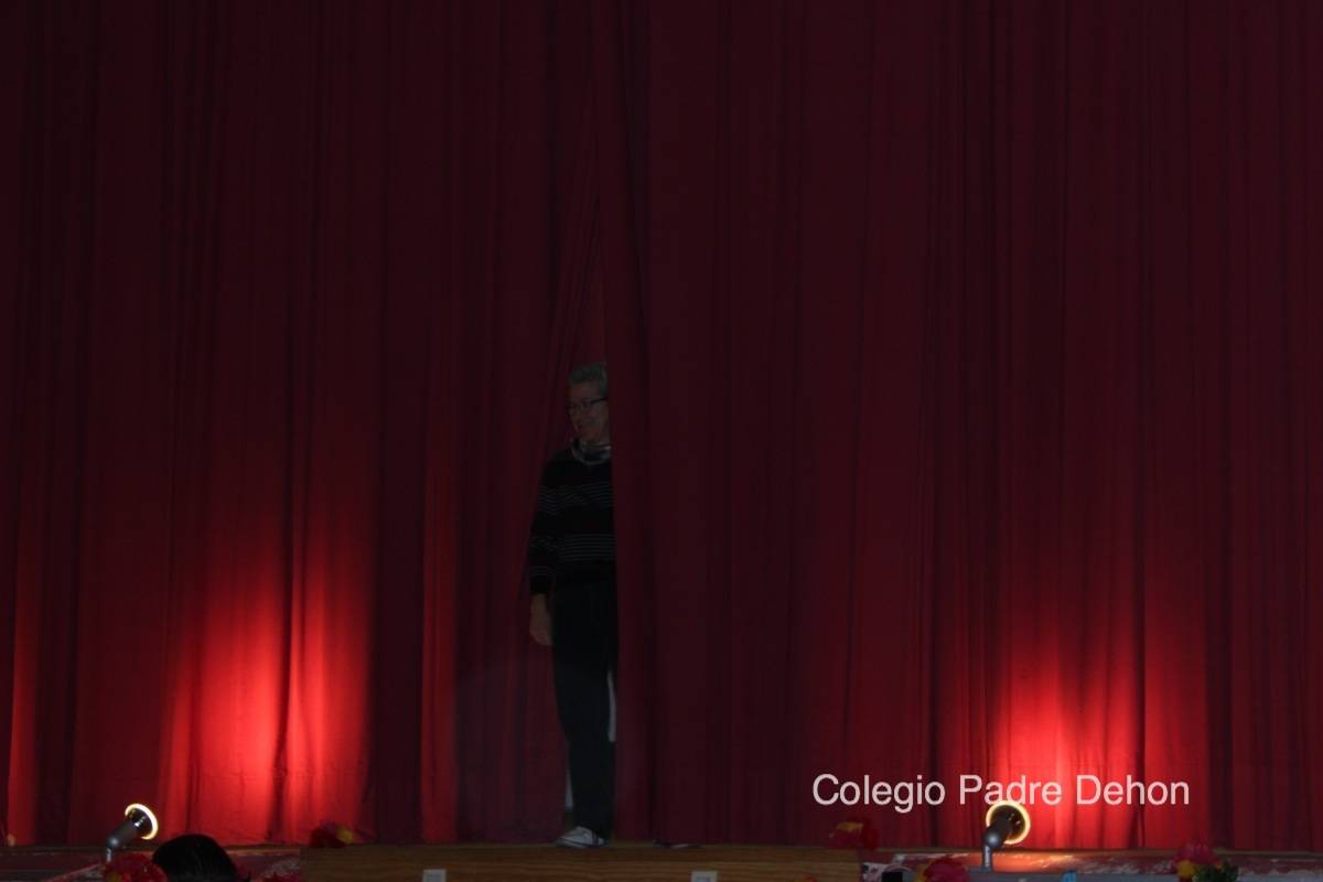 2014 03 14 BAILES PRIMARIA (11)